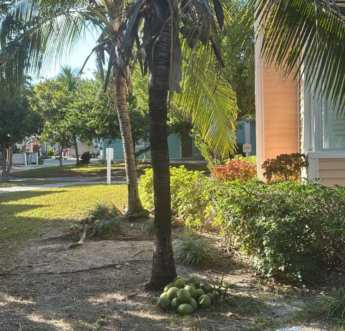 Casa de Férias Bimini Bay Villa With Golf Cart Included Bayley Town